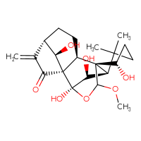 Chemical structure of (1R,2S,5S,8R,9S,10S,11R,15S,18R)-9,10,15,18-tetrahydroxy-16-methoxy-12,12-dimethyl-6-methylidene-17-oxapentacyclo[7.6.2.1⁵,⁸.0¹,¹¹.0²,⁸]octadecan-7-one - CSSB06256040768