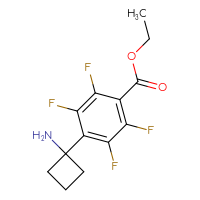 C13H13F4NO2