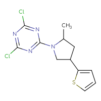 Chemical structure of 2,4-dichloro-6-[2-methyl-4-(thiophen-2-yl)pyrrolidin-1-yl]-1,3,5-triazine - CSSB21332174811