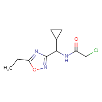 Chemical structure of 2-chloro-N-[cyclopropyl(5-ethyl-1,2,4-oxadiazol-3-yl)methyl]acetamide - CSSB21332081241