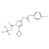 Chemical structure of tert-butyl 5-cyclobutyl-3-[2-(4-hydroxyphenyl)acetamido]-1H-pyrazole-1-carboxylate - CSSB02495325075