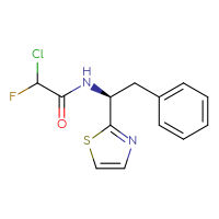Chemical structure of 2-chloro-2-fluoro-N-[(1S)-2-phenyl-1-(1,3-thiazol-2-yl)ethyl]acetamide - CSSB21332170083