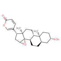 C24H32O4