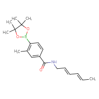 Chemical structure of N-[(2E,4E)-hexa-2,4-dien-1-yl]-3-methyl-4-(4,4,5,5-tetramethyl-1,3,2-dioxaborolan-2-yl)benzamide - CSSB21331714006