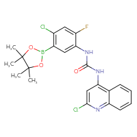Chemical structure of 3-[4-chloro-2-fluoro-5-(4,4,5,5-tetramethyl-1,3,2-dioxaborolan-2-yl)phenyl]-1-(2-chloroquinolin-4-yl)urea - CSSB21332131313