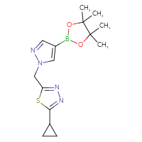 Chemical structure of 2-cyclopropyl-5-{[4-(4,4,5,5-tetramethyl-1,3,2-dioxaborolan-2-yl)-1H-pyrazol-1-yl]methyl}-1,3,4-thiadiazole - CSSB02161347693