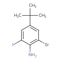 Chemical structure of 2-bromo-4-tert-butyl-6-iodoaniline - CSSB20465137072