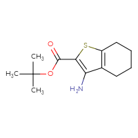 Chemical structure of tert-butyl 3-amino-4,5,6,7-tetrahydro-1-benzothiophene-2-carboxylate - CSSB03437850427