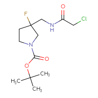 Chemical structure of tert-butyl 3-[(2-chloroacetamido)methyl]-3-fluoropyrrolidine-1-carboxylate - CSSB03550095313