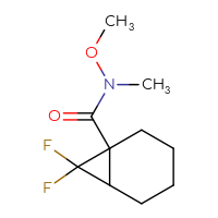 Chemical structure of 7,7-difluoro-N-methoxy-N-methylbicyclo[4.1.0]heptane-1-carboxamide - CSSB01148881397