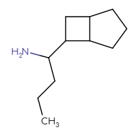 C11H21N