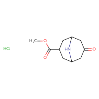Chemical structure of methyl 7-oxo-9-azabicyclo[3.3.1]nonane-3-carboxylate hydrochloride - CSSB03496575593