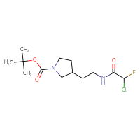 Chemical structure of tert-butyl 3-[2-(2-chloro-2-fluoroacetamido)ethyl]pyrrolidine-1-carboxylate - CSSB09896249517
