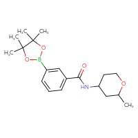 Chemical structure of N-(2-methyloxan-4-yl)-3-(4,4,5,5-tetramethyl-1,3,2-dioxaborolan-2-yl)benzamide - CSSB02229495081