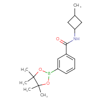 Chemical structure of N-(3-methylcyclobutyl)-3-(4,4,5,5-tetramethyl-1,3,2-dioxaborolan-2-yl)benzamide - CSSB02166475290