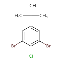 Chemical structure of 1,3-dibromo-5-tert-butyl-2-chlorobenzene - CSSB00010212223