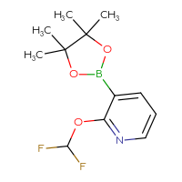 C12H16BF2NO3