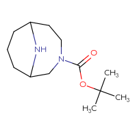 Chemical structure of tert-butyl 3,10-diazabicyclo[4.3.1]decane-3-carboxylate - CSSB00000055077