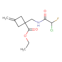 Chemical structure of ethyl 1-[(2-chloro-2-fluoroacetamido)methyl]-3-methylidenecyclobutane-1-carboxylate - CSSB21332055702