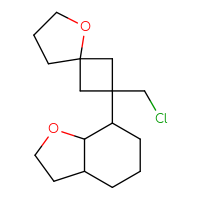 C16H25ClO2