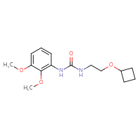 Chemical structure of 3-(2-cyclobutoxyethyl)-1-(2,3-dimethoxyphenyl)urea - CSSB02055581645