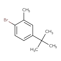 Chemical structure of 1-bromo-4-tert-butyl-2-methylbenzene - CSSB00010295399