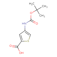 Chemical structure of 4-{[(tert-butoxy)carbonyl]amino}thiophene-2-carboxylic acid - CSSB00010410193