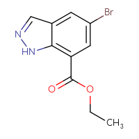 Chemical structure of ethyl 5-bromo-1H-indazole-7-carboxylate - CSSB00010197874