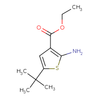 Chemical structure of ethyl 2-amino-5-tert-butylthiophene-3-carboxylate - CSSB00000754968
