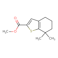 Chemical structure of methyl 7,7-dimethyl-4,5,6,7-tetrahydro-1-benzothiophene-2-carboxylate - CSSB06656583917