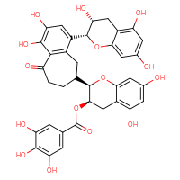 Chemical structure of (2R,3R)-2-{1,2-dihydroxy-9-oxo-4-[(2R,3R)-3,5,7-trihydroxy-3,4-dihydro-2H-1-benzopyran-2-yl]-6,7,8,9-tetrahydro-5H-benzo[7]annulen-6-yl}-5,7-dihydroxy-3,4-dihydro-2H-1-benzopyran-3-yl 3,4,5-trihydroxybenzoate - CSSB02125553711