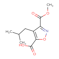 C10H13NO5