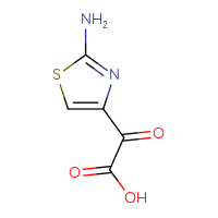 Chemical structure of 2-(2-amino-1,3-thiazol-4-yl)-2-oxoacetic acid - CSSB00000075895