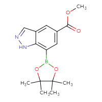 Chemical structure of methyl 7-(4,4,5,5-tetramethyl-1,3,2-dioxaborolan-2-yl)-1H-indazole-5-carboxylate - CSSB06270800871