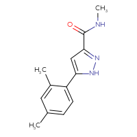 Chemical structure of 5-(2,4-dimethylphenyl)-N-methyl-1H-pyrazole-3-carboxamide - CSSB01995173254