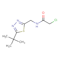 Chemical structure of N-[(5-tert-butyl-1,3,4-thiadiazol-2-yl)methyl]-2-chloroacetamide - CSSB01992504849