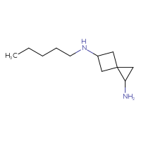 C11H22N2