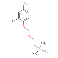 Chemical structure of {2-[(2,4-dimethylphenoxy)methoxy]ethyl}trimethylsilane - CSSB21031385737