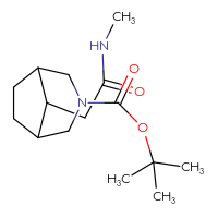 Chemical structure of tert-butyl 8-[(methylcarbamoyl)methyl]-3-azabicyclo[3.2.1]octane-3-carboxylate - CSSB06381649103