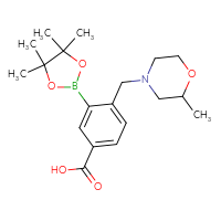 C19H28BNO5
