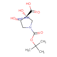 C10H17NO6