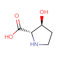 C5H9NO3