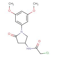 Chemical structure of 2-chloro-N-[1-(3,5-dimethoxyphenyl)-5-oxopyrrolidin-3-yl]acetamide - CSSB21332038819