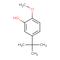 Chemical structure of 5-tert-butyl-2-methoxyphenol - CSSB00009840903