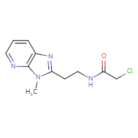 Chemical structure of 2-chloro-N-(2-{3-methyl-3H-imidazo[4,5-b]pyridin-2-yl}ethyl)acetamide - CSSB21332082462