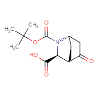 C13H19NO5