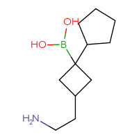 C11H22BNO2