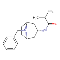 Chemical structure of N-[(1R,3R,5S)-8-benzyl-8-azabicyclo[3.2.1]octan-3-yl]-2-methylpropanamide - CSSB02125604773