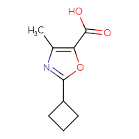 C9H11NO3