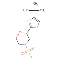 Chemical structure of 2-(4-tert-butyl-1,3-thiazol-2-yl)morpholine-4-sulfonyl chloride - CSSB21224772425